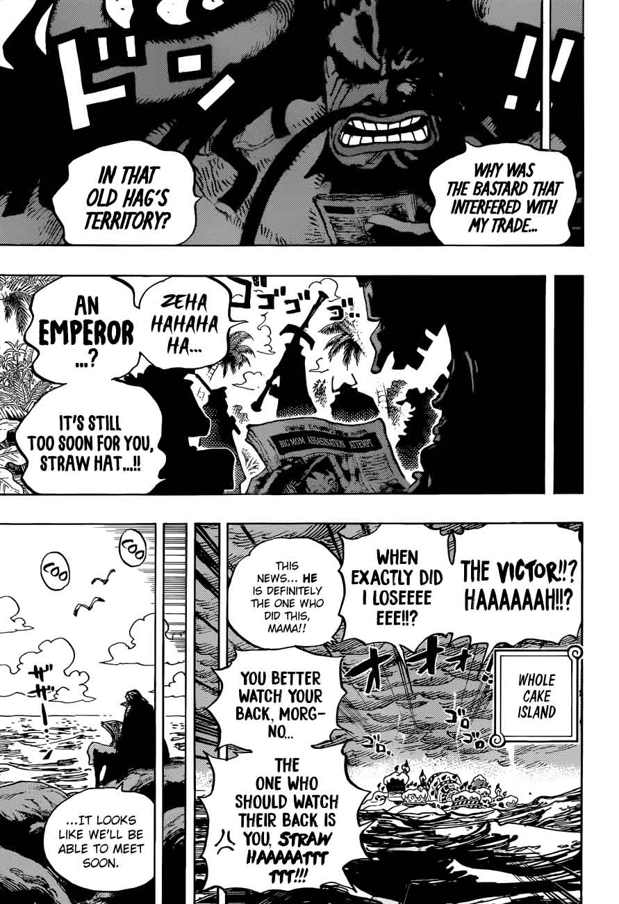 One Piece Chapter 903 Page 16