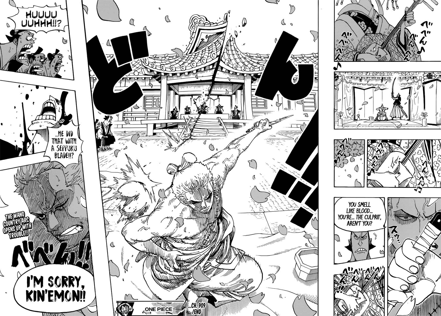 One Piece Chapter 909 Page 15