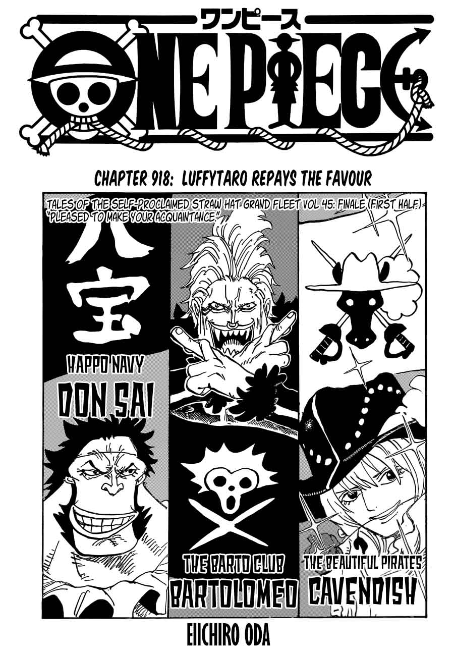 One Piece Chapter 918 Page 1