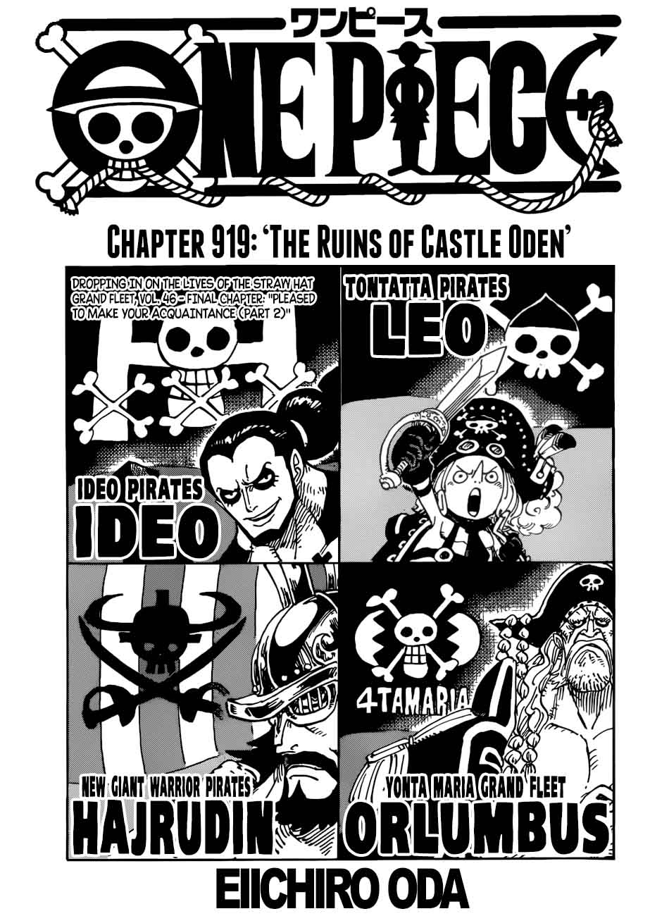 One Piece Chapter 919 Page 1