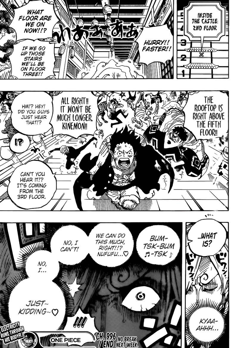 One Piece Chapter 996 Page 17