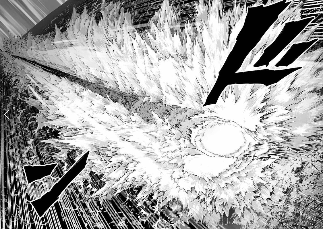 Onepunch Man Chapter 157 Page 14