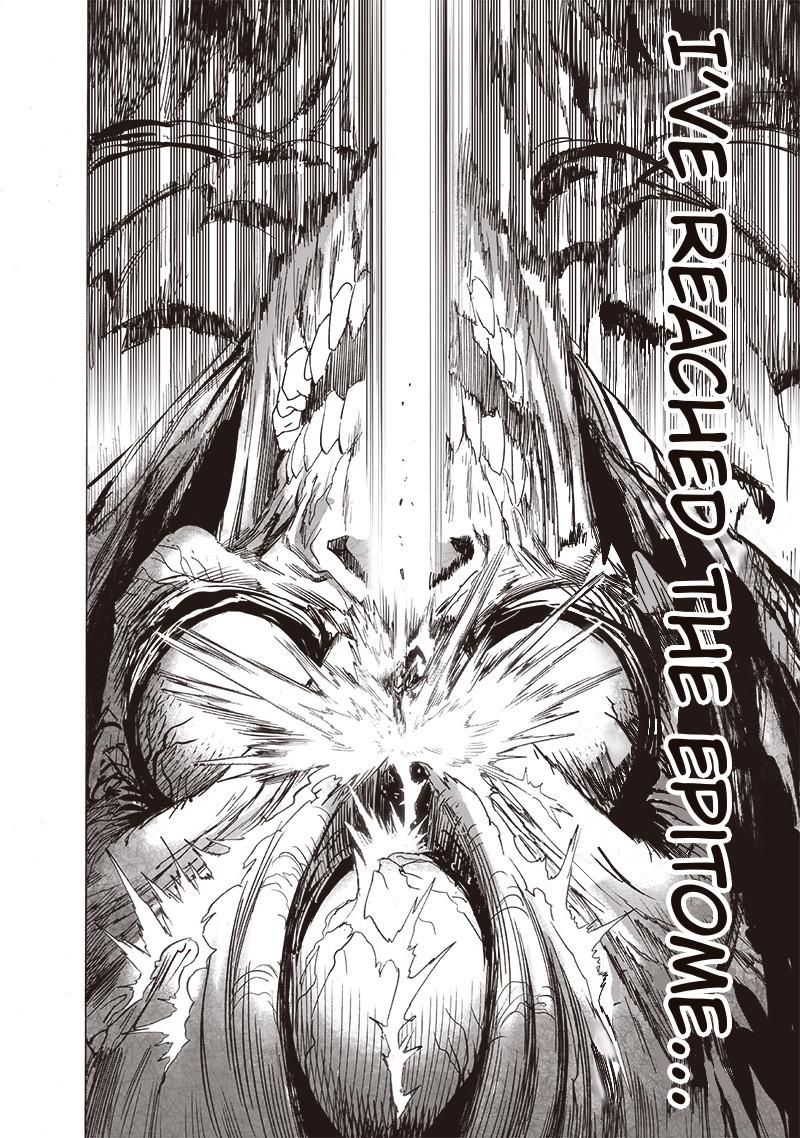 Onepunch Man Chapter 159 Page 16