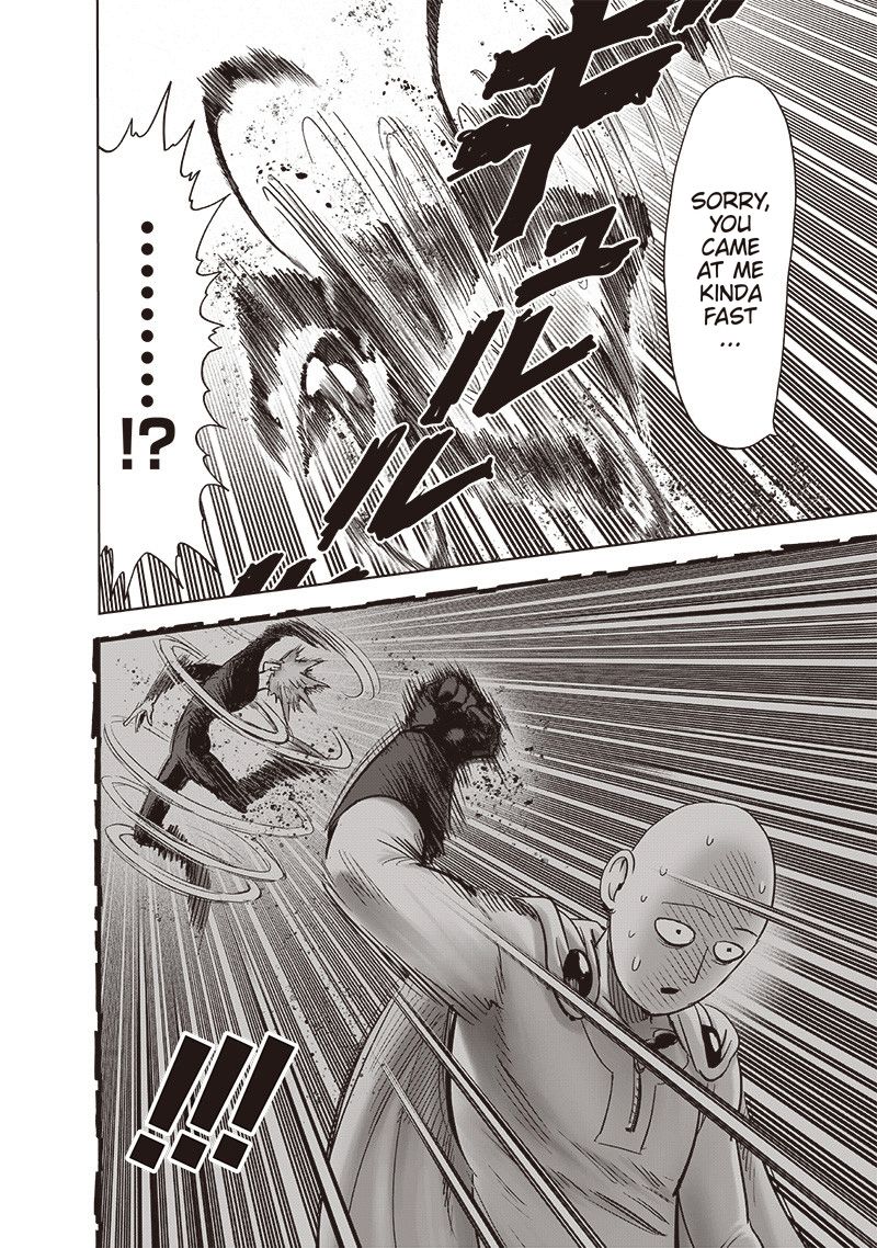 Onepunch Man Chapter 161 Page 19