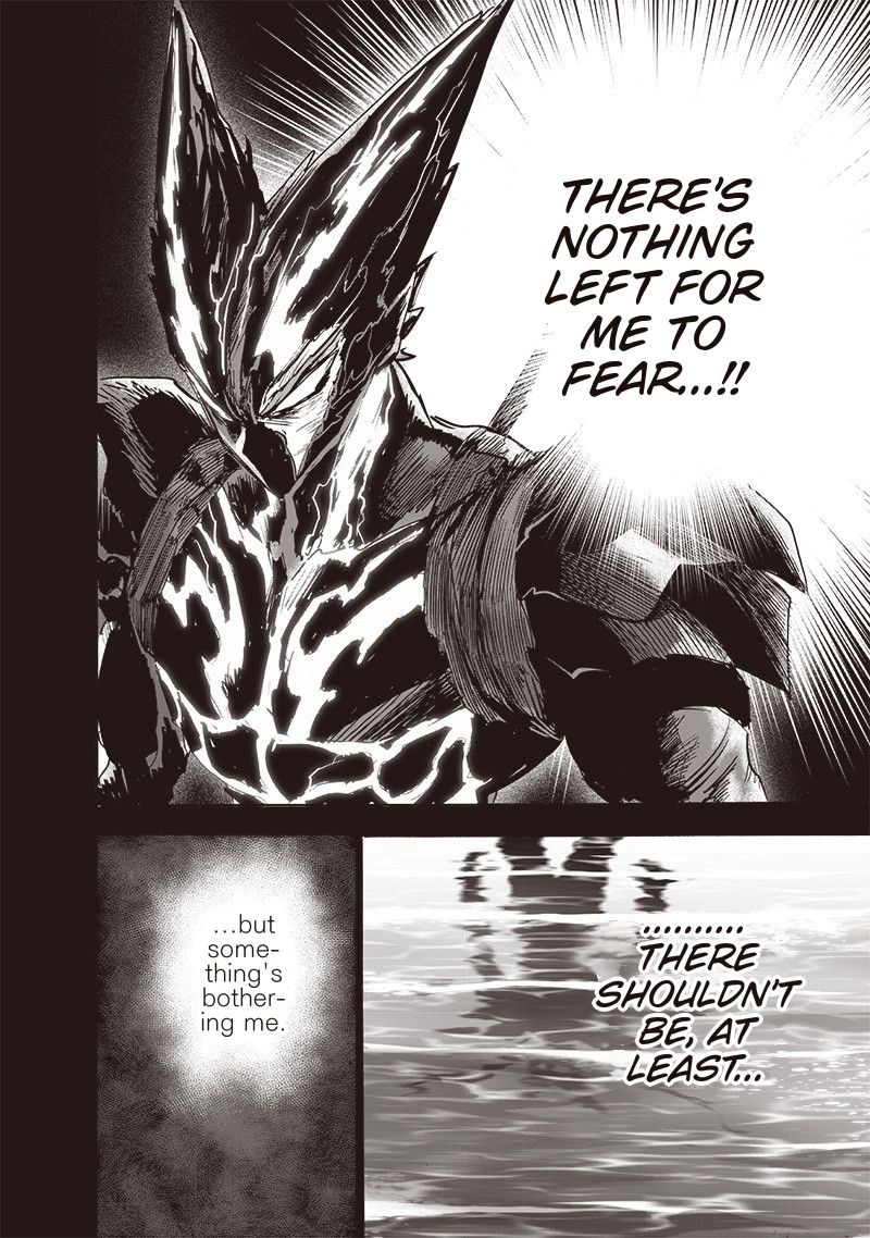 Onepunch Man Chapter 161 Page 4