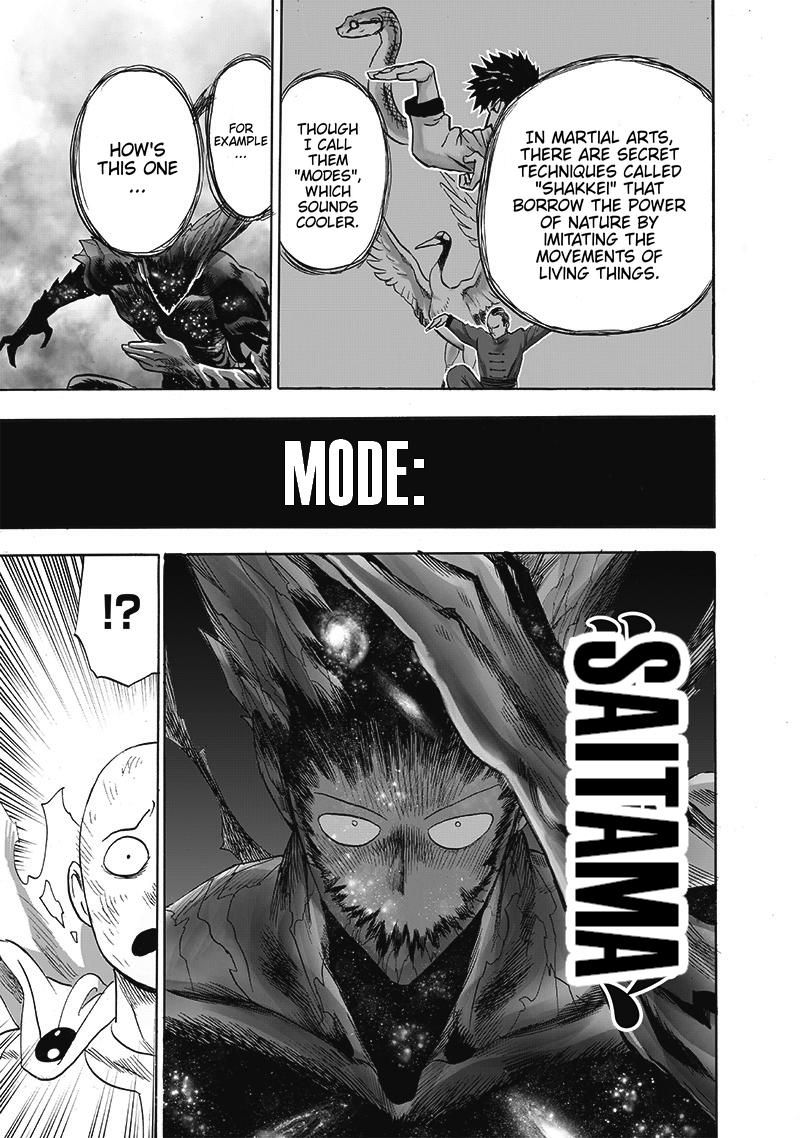 Onepunch Man Chapter 165 Page 14