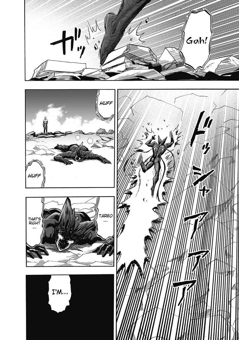 Onepunch Man Chapter 168 Page 41