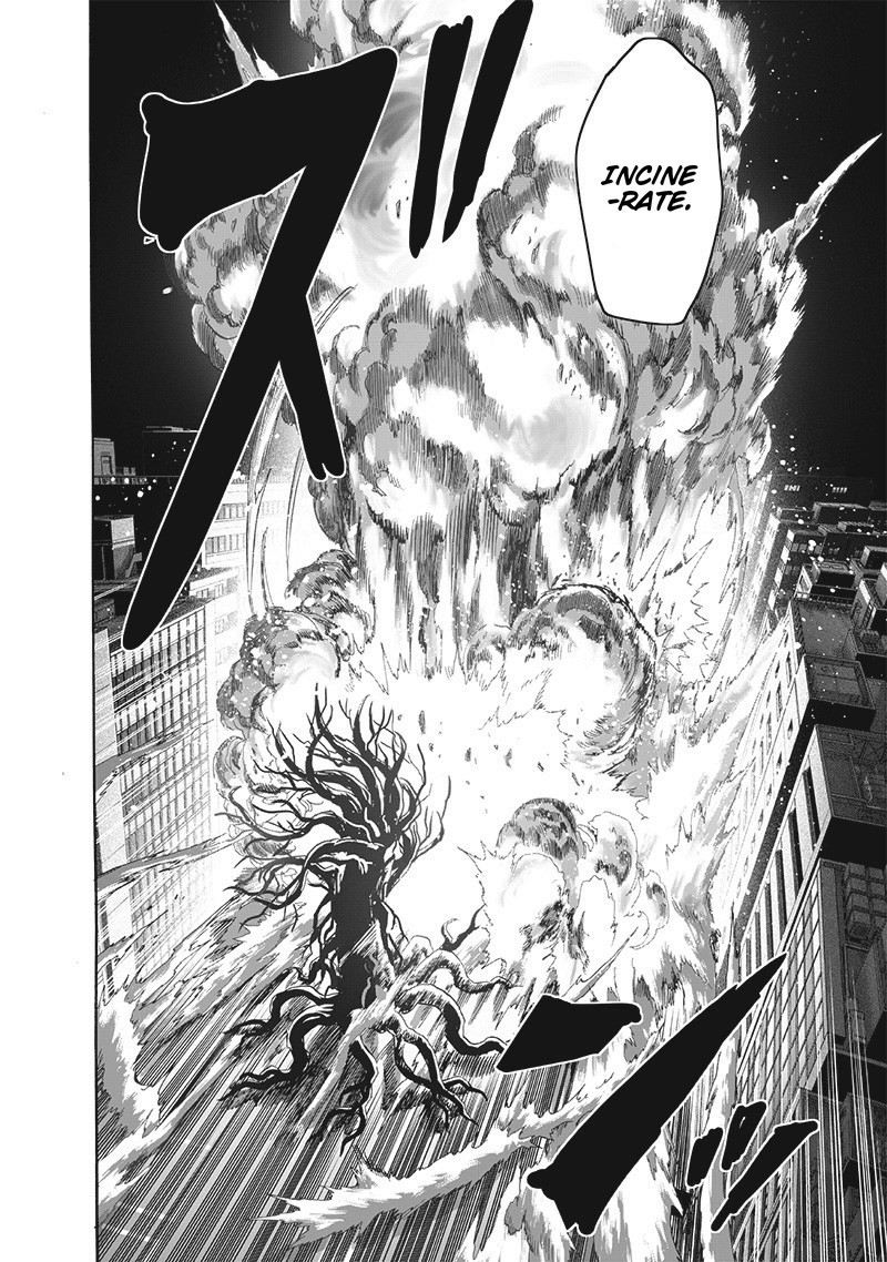 Onepunch Man Chapter 185 Page 24