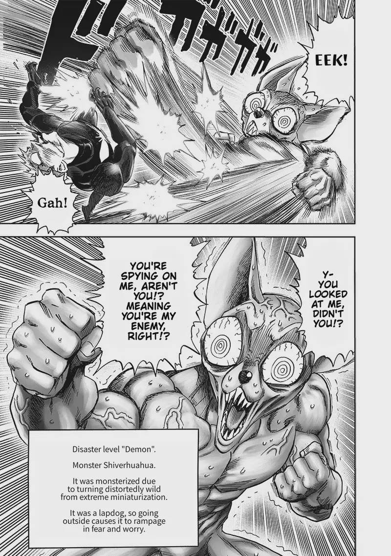 Onepunch Man Chapter 187 Page 17