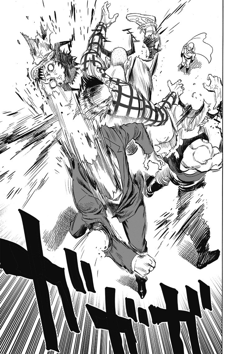 Onepunch Man Chapter 194 Page 28