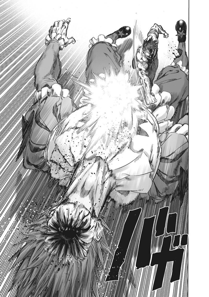 Onepunch Man Chapter 216 Page 10