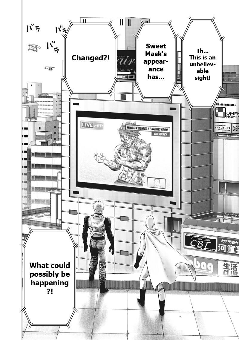 Onepunch Man Chapter 216 Page 17