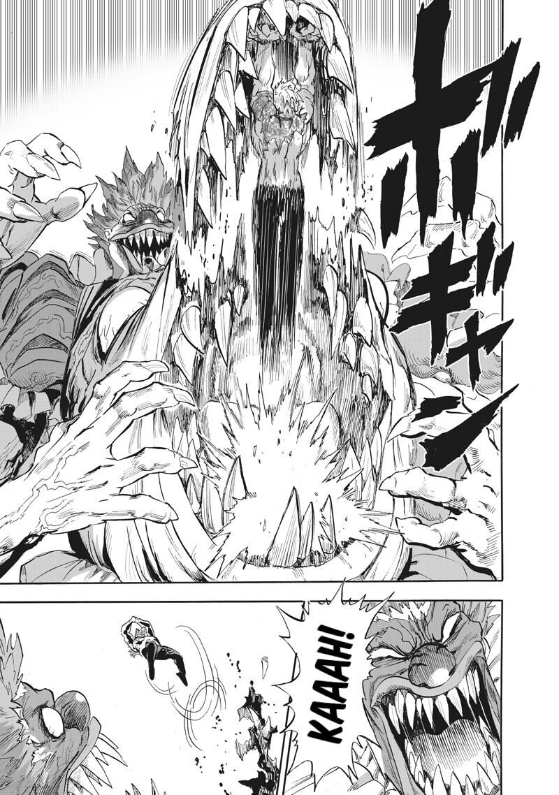 Onepunch Man Chapter 217 Page 12