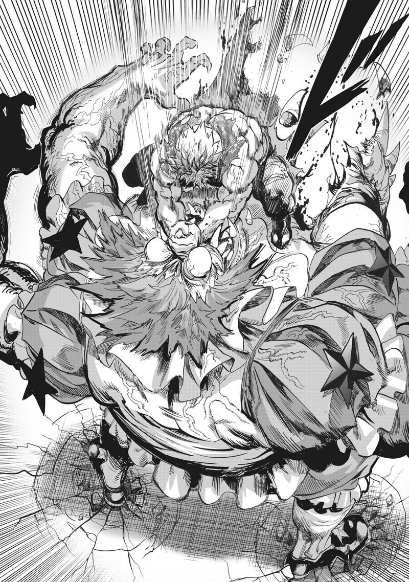 Onepunch Man Chapter 217 Page 13