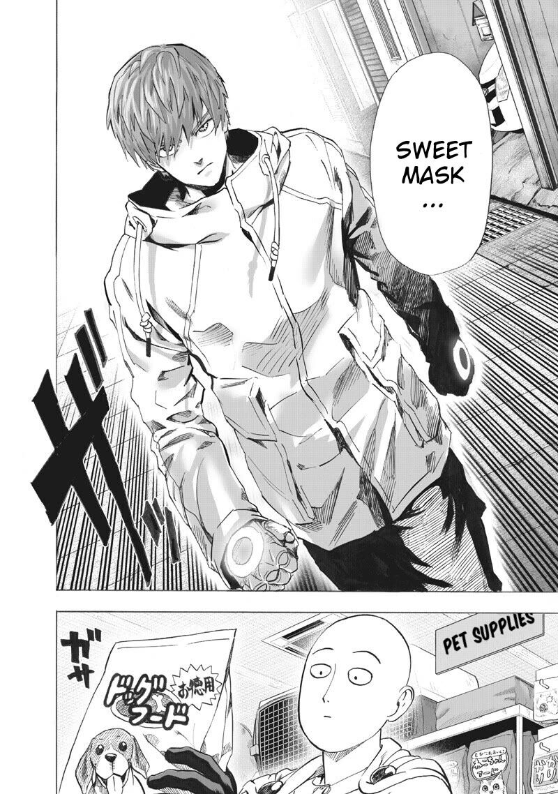 Onepunch Man Chapter 219 Page 15