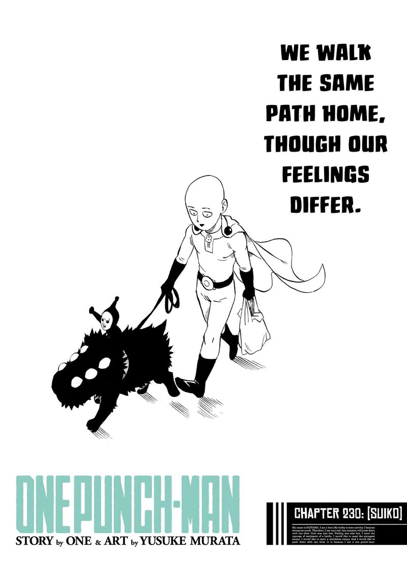 Onepunch Man Chapter 230 Page 1