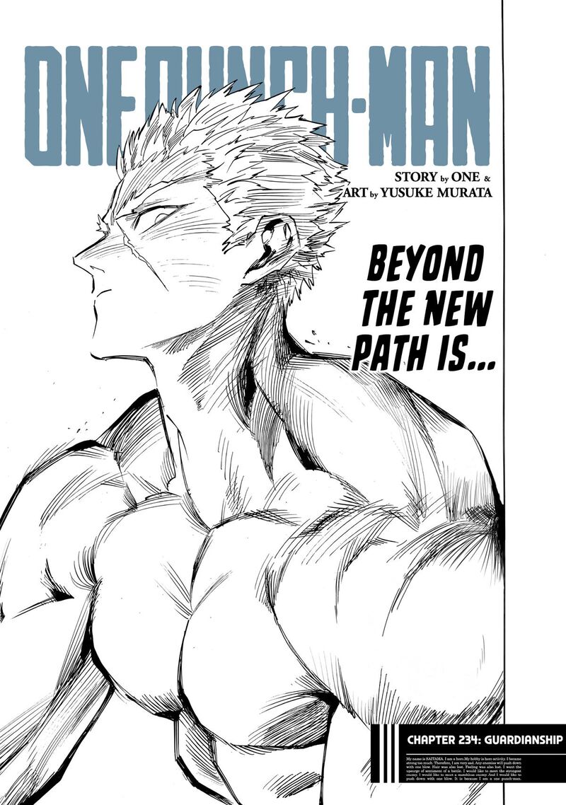 Onepunch Man Chapter 234 Page 1