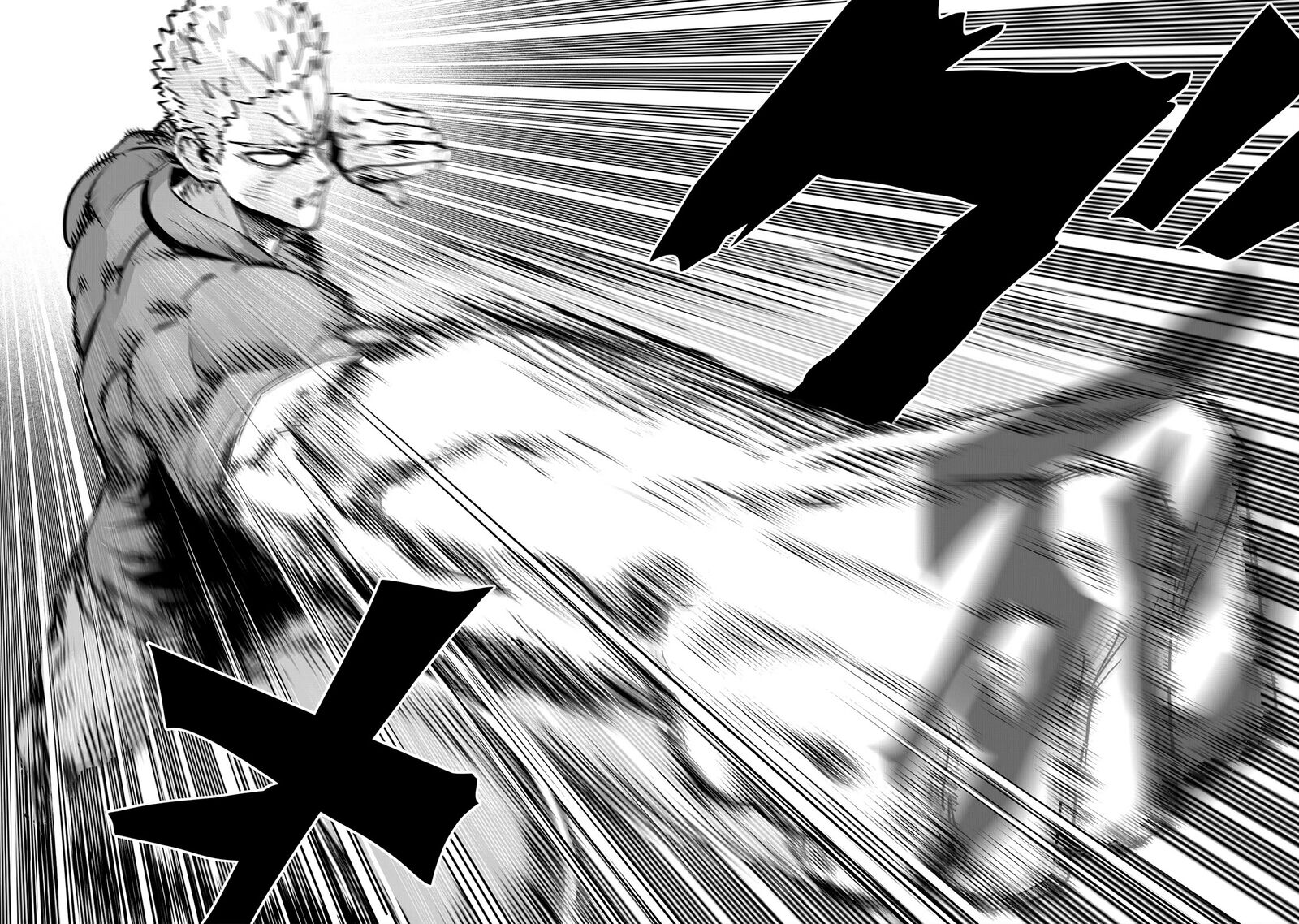 Onepunch Man Chapter 237 Page 19