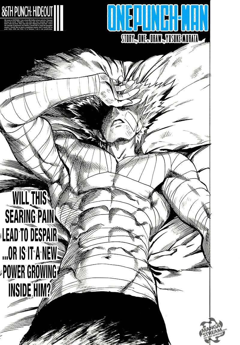 Onepunch Man Chapter 86 Page 1