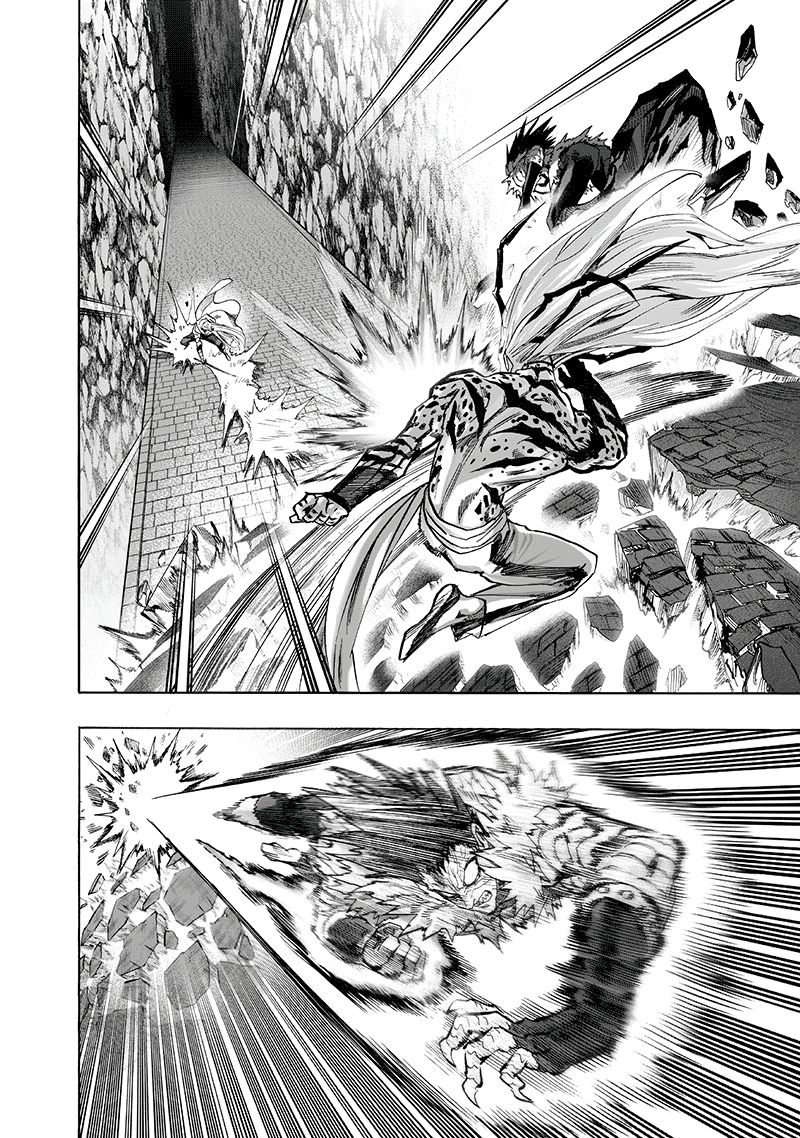 Onepunch Man Chapter 96 Page 15