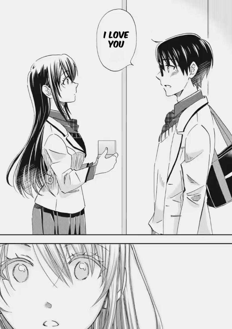 Ore Wa Shiranai Uchi Ni Gakkou Ichi No Bishoujo Wo Kudoite ItarashII Chapter 35 Page 28