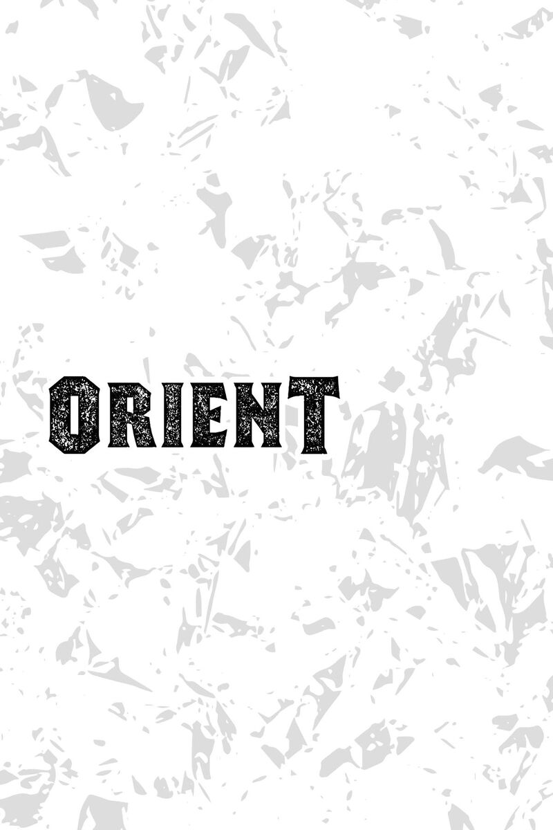 Orient Chapter 141 Page 46