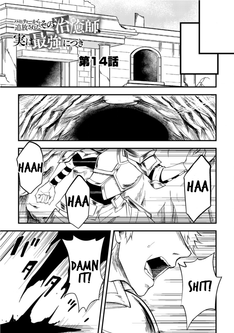 Party Kara Tsuihou Sareta Sono Chiyushi Jitsu Wa Saikyou Nitsuki Chapter 14 Page 1