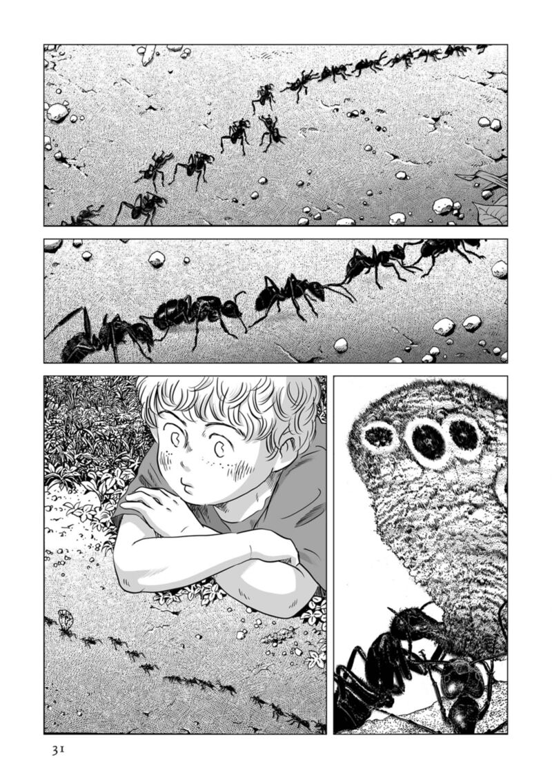 Plinius Chapter 79 Page 2