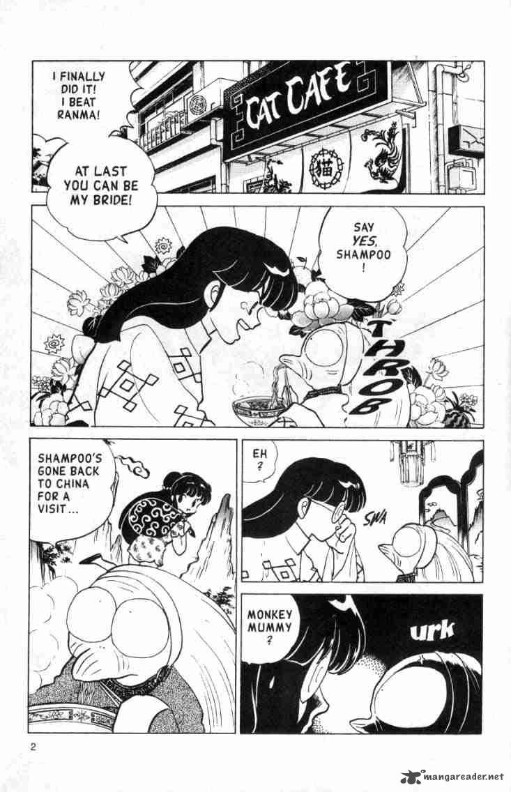 Ranma 1 2 Chapter 13 Page 39