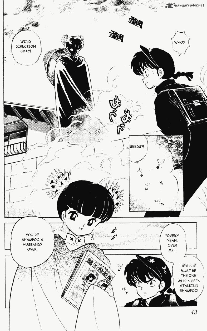 Ranma 1 2 Chapter 29 Page 43