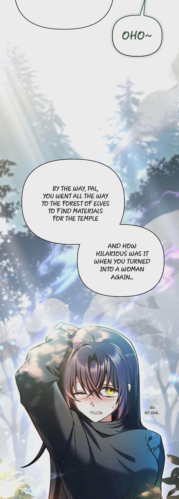 Regressor Instruction Manual Chapter 208 Page 11