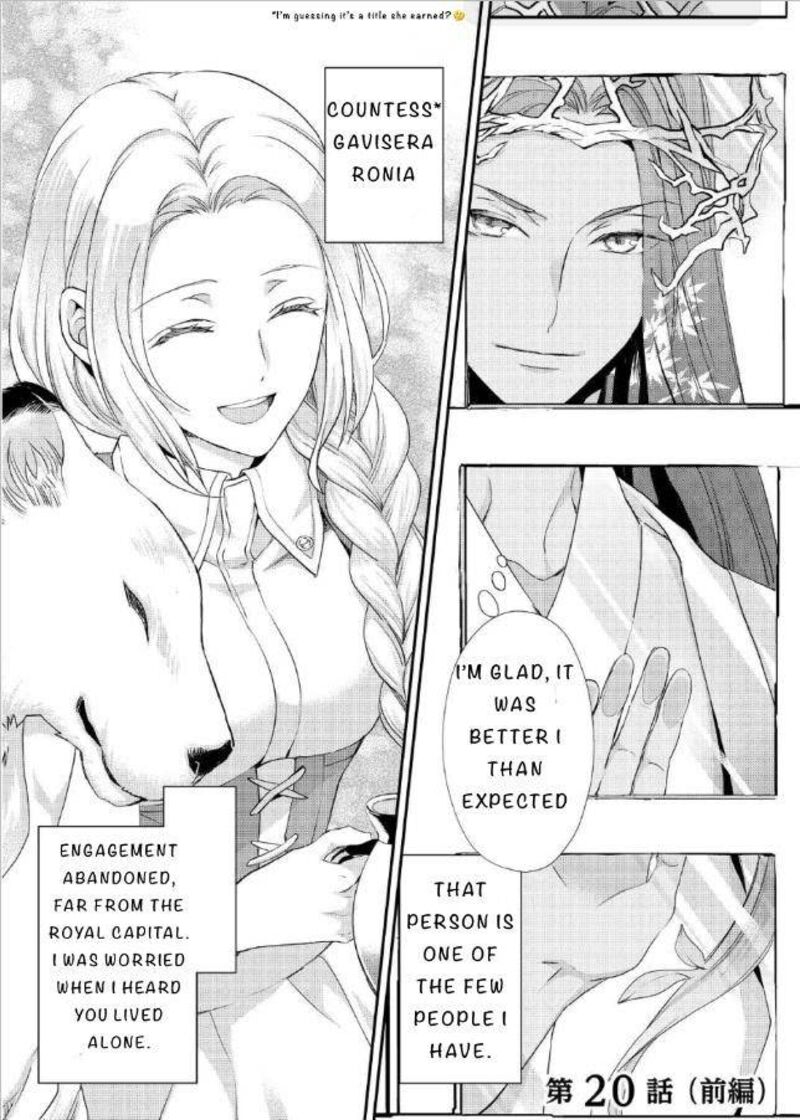Reijou Wa Mattari Wo Goshomou Chapter 20 Page 11