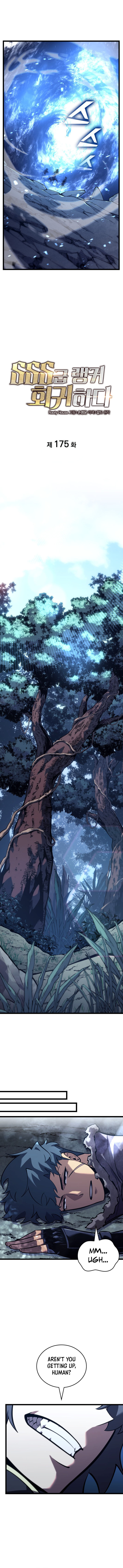 Return Of The Sss Class Ranker Chapter 175 Page 10