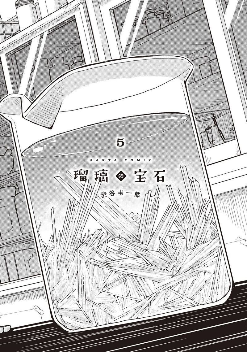 Ruri No Houseki Chapter 24 Page 3