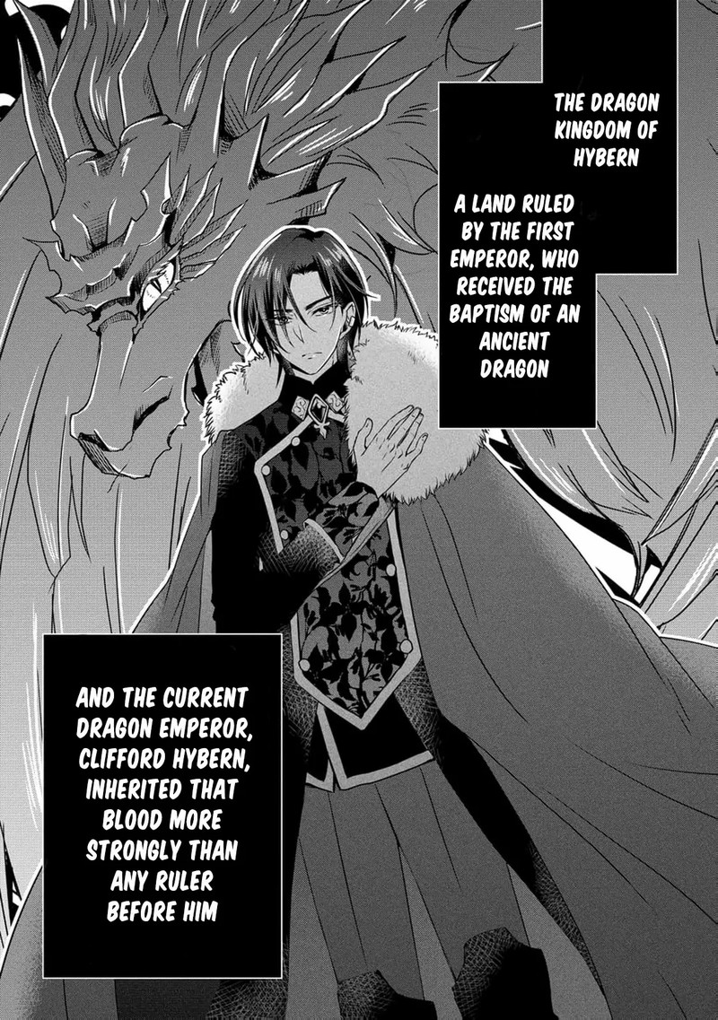 Ryuuheika No Okisaki Wa Okotowari Shitai Chapter 2 Page 5