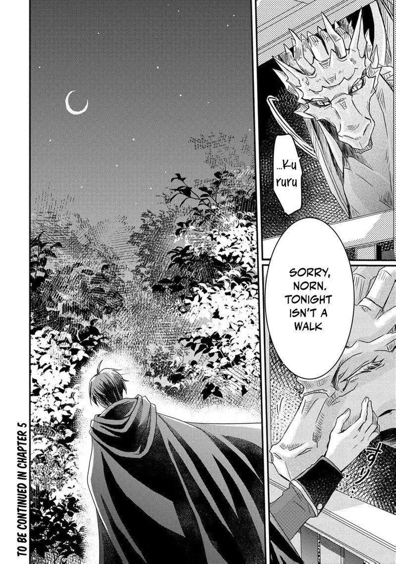 Ryuuheika No Okisaki Wa Okotowari Shitai Chapter 4 Page 29