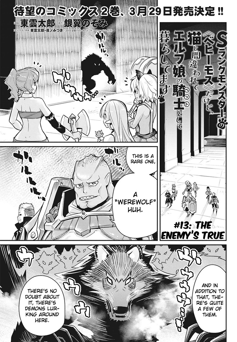 S Rank Monster No Behemoth Dakedo Neko To Machigawarete Erufu Musume No Kishi Pet Toshite Kurashitemasu Chapter 13 Page 1