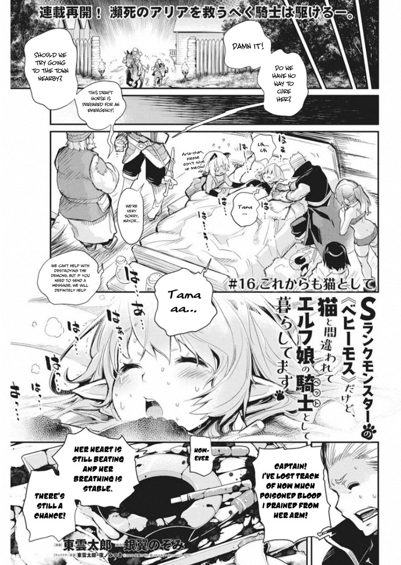 S Rank Monster No Behemoth Dakedo Neko To Machigawarete Erufu Musume No Kishi Pet Toshite Kurashitemasu Chapter 16 Page 1