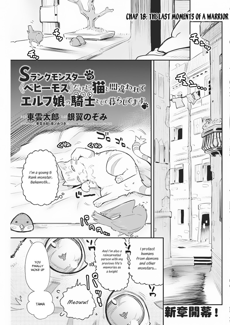 S Rank Monster No Behemoth Dakedo Neko To Machigawarete Erufu Musume No Kishi Pet Toshite Kurashitemasu Chapter 18 Page 1