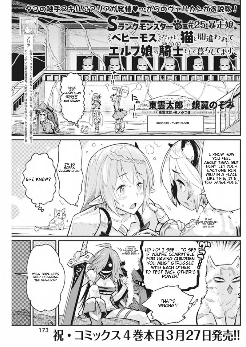S Rank Monster No Behemoth Dakedo Neko To Machigawarete Erufu Musume No Kishi Pet Toshite Kurashitemasu Chapter 25 Page 1