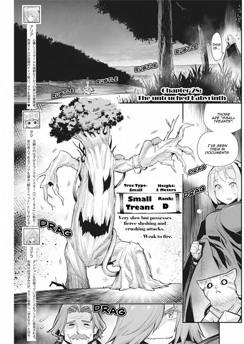 S Rank Monster No Behemoth Dakedo Neko To Machigawarete Erufu Musume No Kishi Pet Toshite Kurashitemasu Chapter 28 Page 1