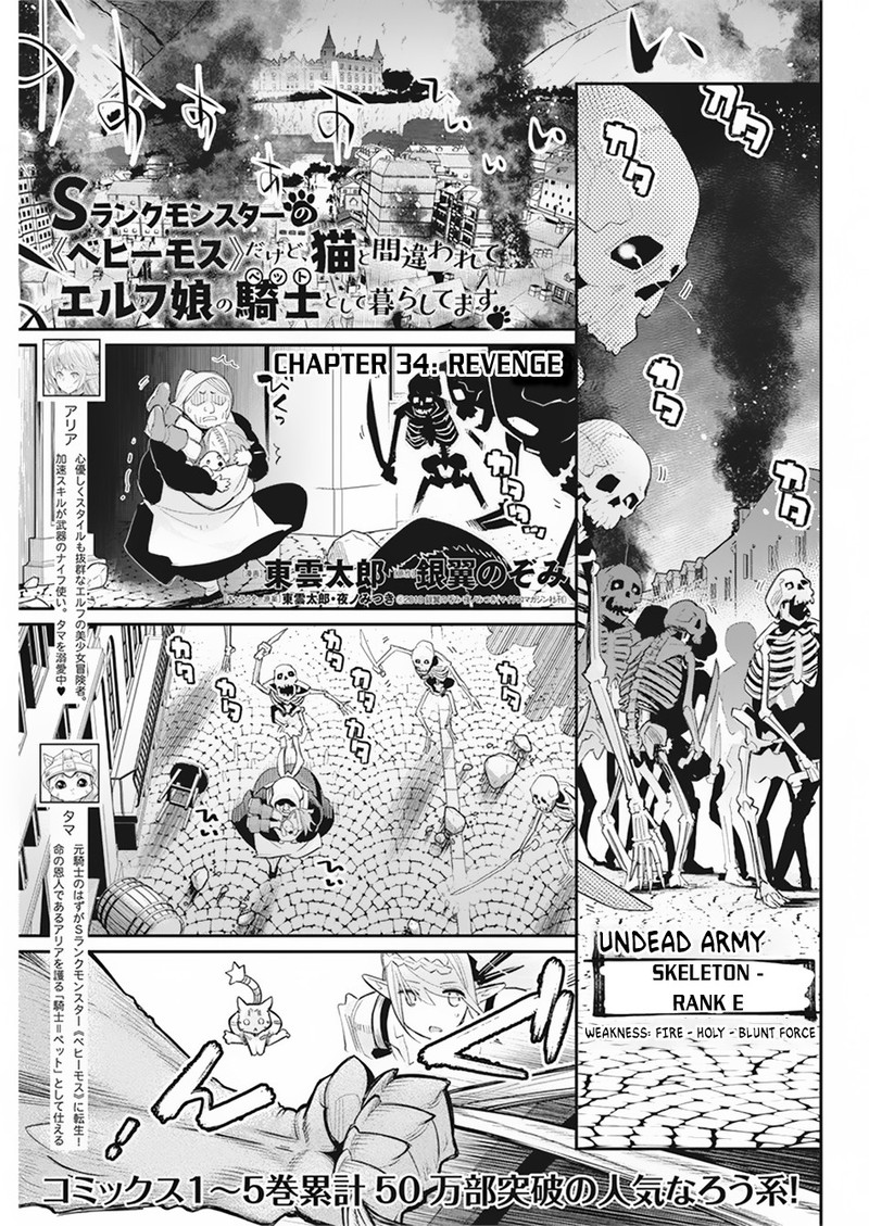 S Rank Monster No Behemoth Dakedo Neko To Machigawarete Erufu Musume No Kishi Pet Toshite Kurashitemasu Chapter 34 Page 1