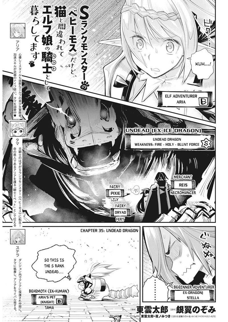 S Rank Monster No Behemoth Dakedo Neko To Machigawarete Erufu Musume No Kishi Pet Toshite Kurashitemasu Chapter 35 Page 1