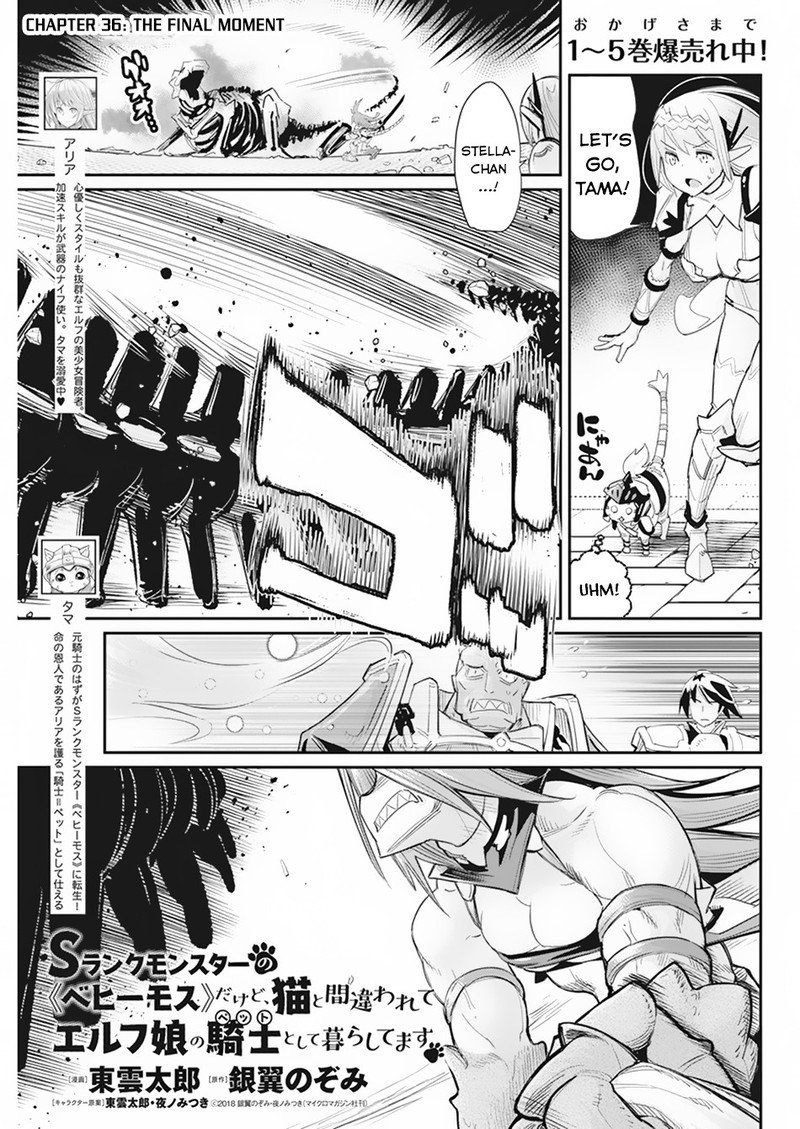 S Rank Monster No Behemoth Dakedo Neko To Machigawarete Erufu Musume No Kishi Pet Toshite Kurashitemasu Chapter 36 Page 1