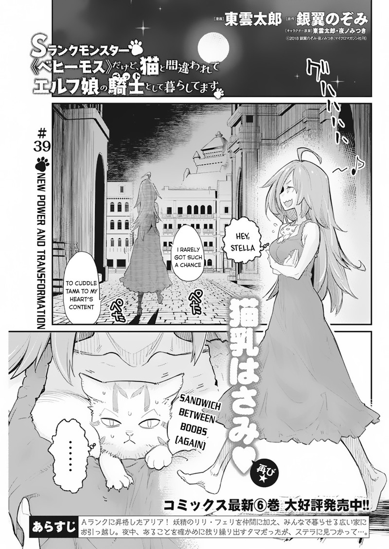 S Rank Monster No Behemoth Dakedo Neko To Machigawarete Erufu Musume No Kishi Pet Toshite Kurashitemasu Chapter 39 Page 1