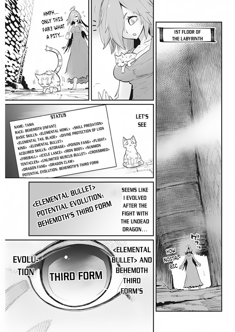 S Rank Monster No Behemoth Dakedo Neko To Machigawarete Erufu Musume No Kishi Pet Toshite Kurashitemasu Chapter 39 Page 7