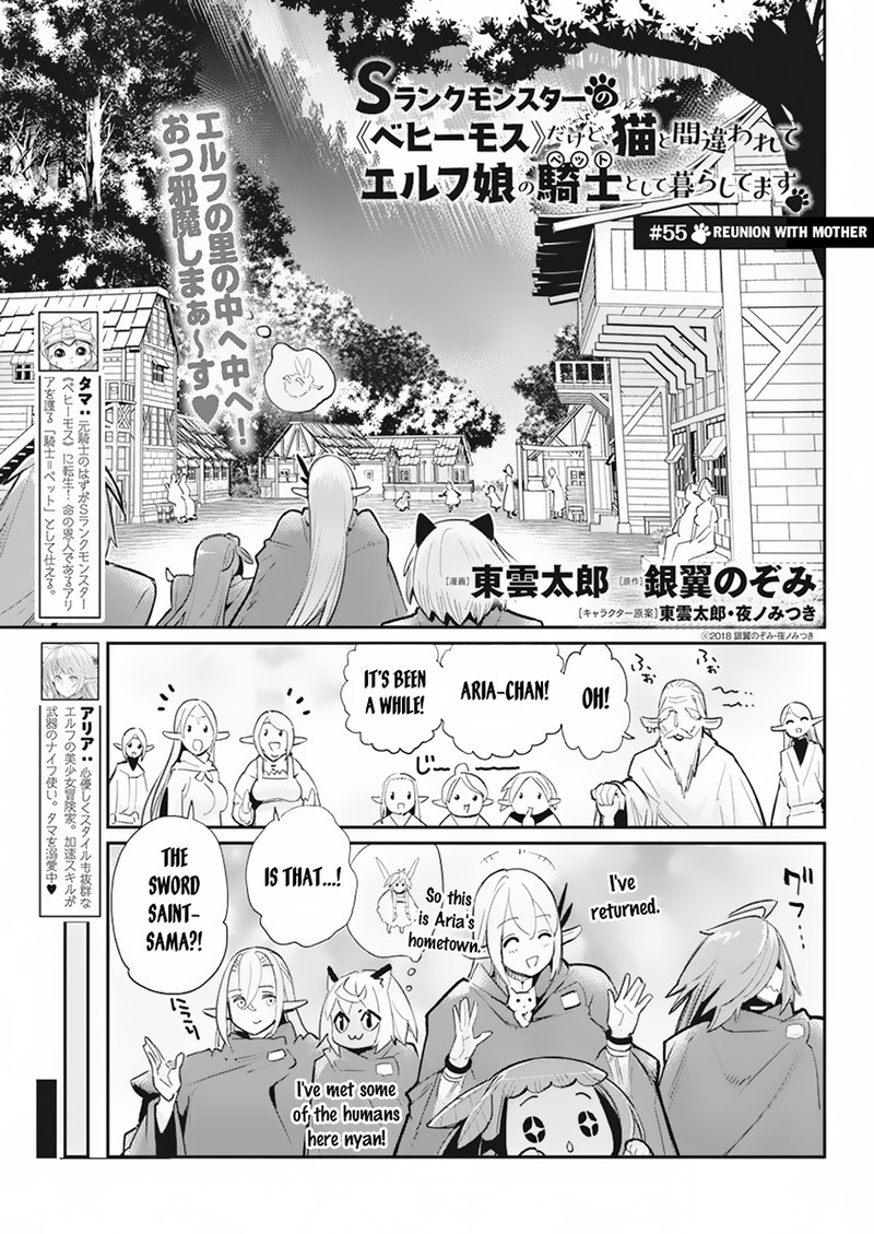 S Rank Monster No Behemoth Dakedo Neko To Machigawarete Erufu Musume No Kishi Pet Toshite Kurashitemasu Chapter 55 Page 1