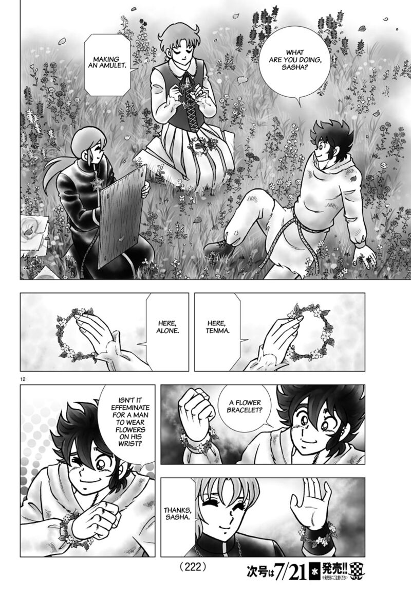 Saint Seiya Next Dimension Chapter 102 Page 12
