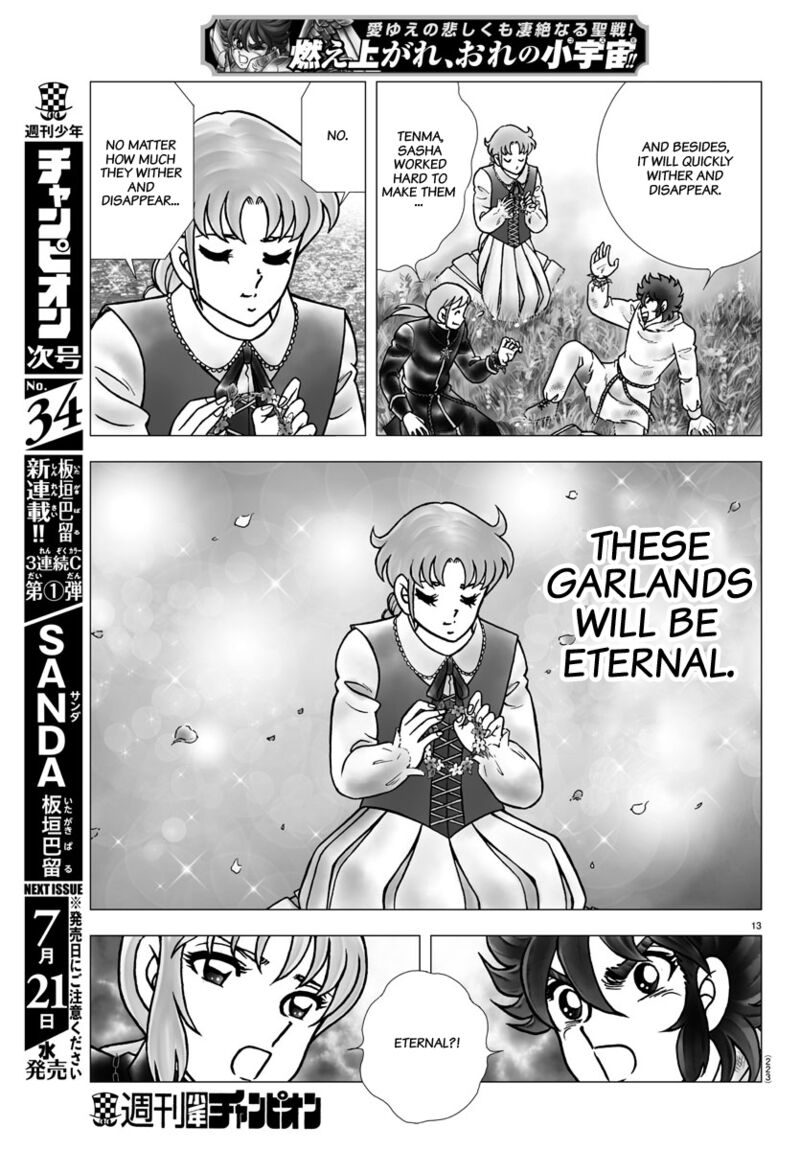 Saint Seiya Next Dimension Chapter 102 Page 13