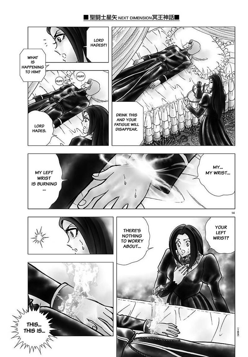 Saint Seiya Next Dimension Chapter 105 Page 14